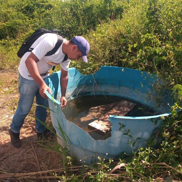 Trabalho dos Agentes de Endemias reduz infestação do mosquito da dengue em São João do Caru, mas população não pode relaxar