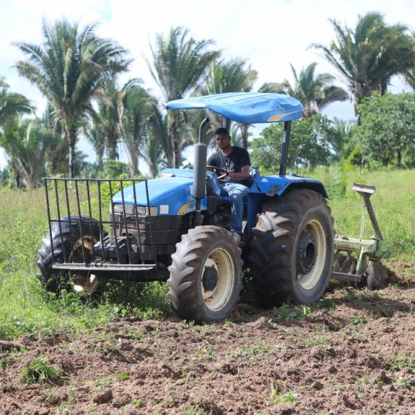 Fortalecimento da Agricultura:  Prefeitura oferece serviço de gradeamento de terras. 